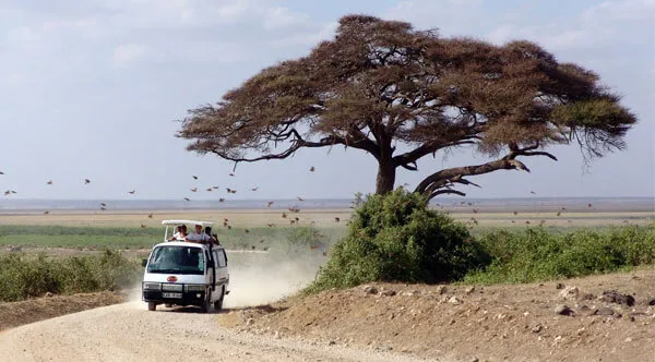 Kenya Safari Tour Package